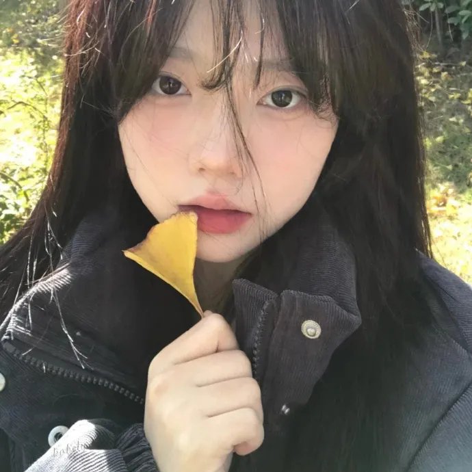 可能的脸